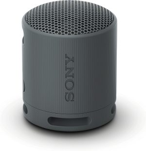 Тонколони Sony SRS-XB100 Portable Bluetooth Speaker black