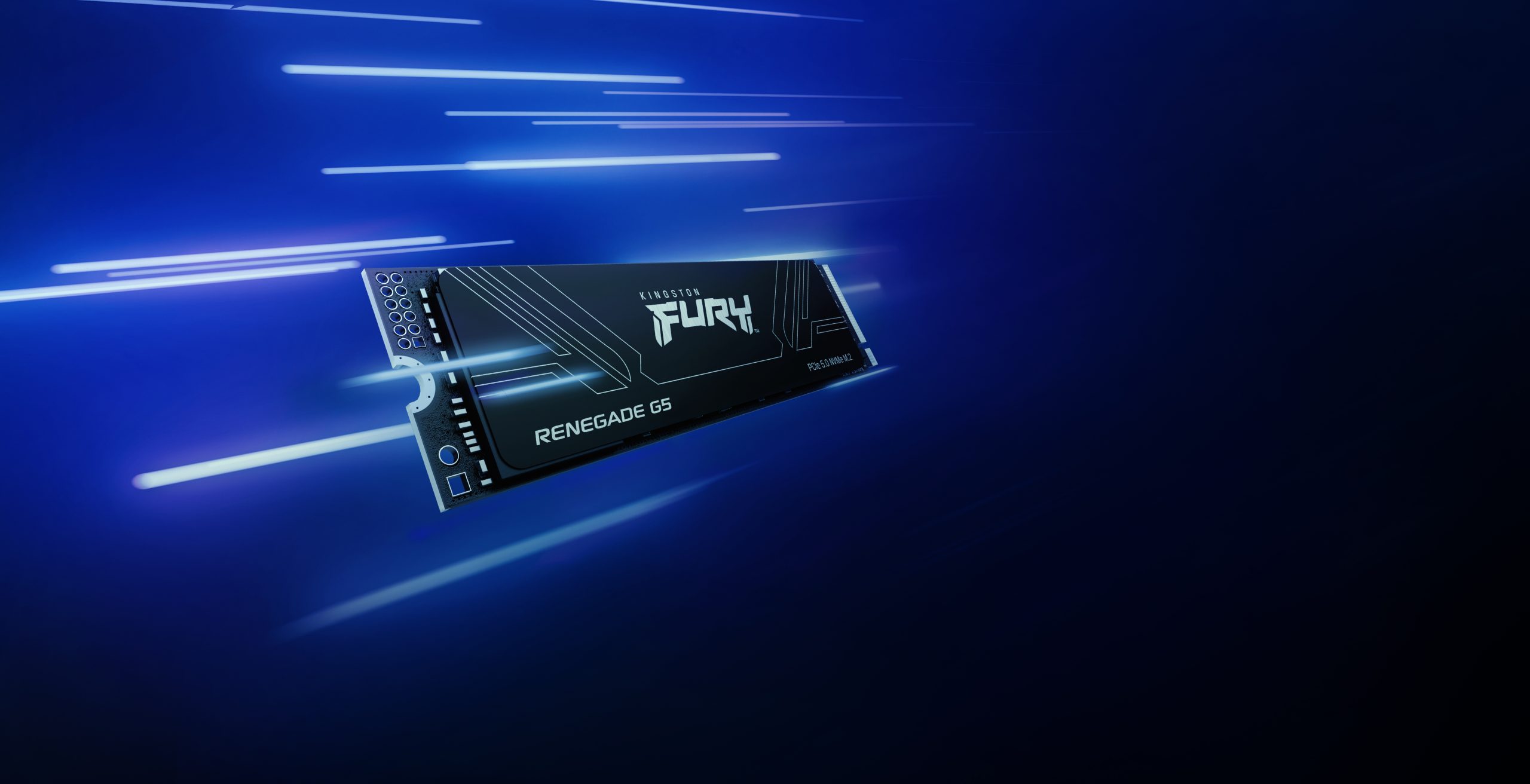 KINGSTON FURY Renegade G5 1024GB PCIe 5.0 M.2 NVMe SSD - Image 10